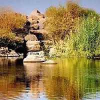 Picture for song 'Nil' by artist 'Peter Kosta's Galaxy Rock Band'