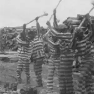 Picture for song 'Chain-Gang' by artist 'Rick Smerage'