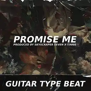 Picture for song 'Guitar Type Beat - Promise Me' by artist 'Skyscraper Seven'