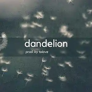 Picture for song 'Dandelion' by artist 'Tolove'