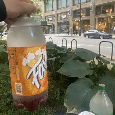 Picture for song 'Yn Jay x Detroit Type Beat - Soda' by artist '8xbeatz'