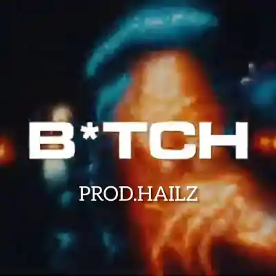 Picture for song '"B*tch" KYLE Richh x Sha gz x Jerk Drill' by artist 'BIG HAILZ'