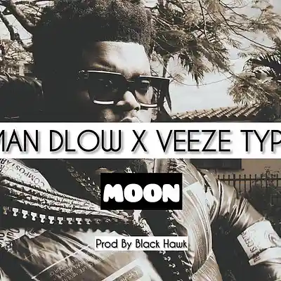 Picture for song 'Bossman Dlow Type Beat X Veeze Type Beat - MOON' by artist 'Black Hawk'