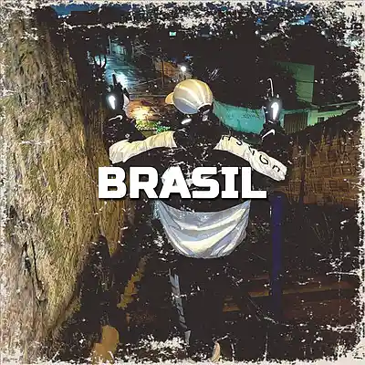 Picture for song 'Brazilian Funk Type Beat - Brasil' by artist 'Cachengue Instrumentales'