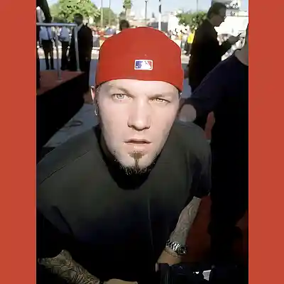 Picture for song '"TROLLING 2" LIMP BIZKIT RAP METAL TYPE BEAT' by artist 'DevilleProducer'