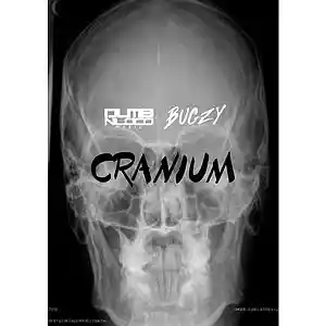 Picture for song 'Cranium (Prod. by Bugzy & DumbNLoco Music)' by artist 'DumbNLoco Music'