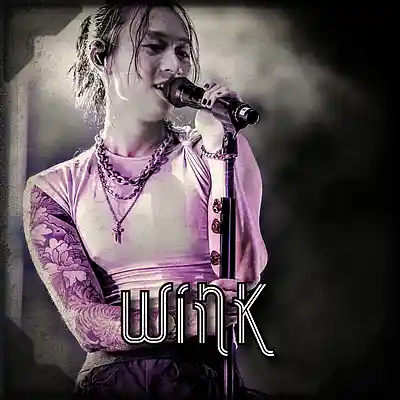 Picture for song '*Wink* - Melancholic Vibes (Buy 2 Get 1 Free)' by artist 'Elbr'