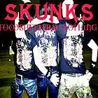 Picture for song 'SKUNKS' by artist 'foodshelterandclothing'