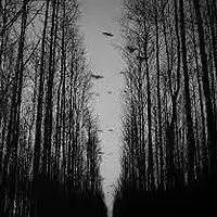 Picture for song 'DARKNESS' by artist 'FREEWORLD.SOLDIER'