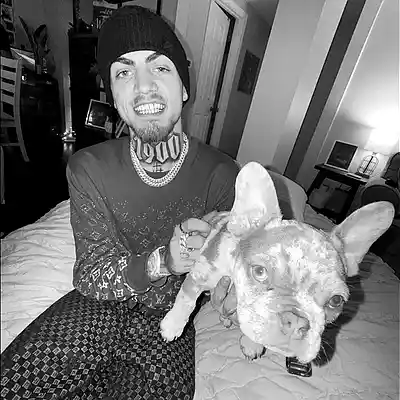 Picture for song 'WICKED BLOOM' by artist 'HOLLYWOOD LEGEND PRODUCTIONS'