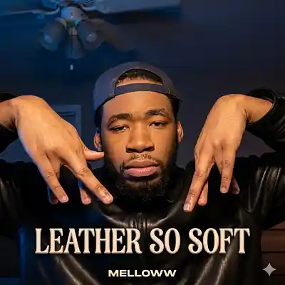 Picture for song 'Leather So Soft' by artist 'MellLoww'