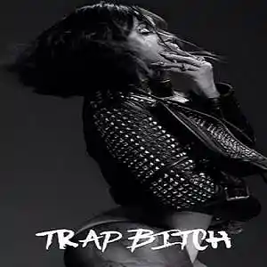 Picture for song 'RNB TrapBih' by artist 'Sickkachit Productionz'