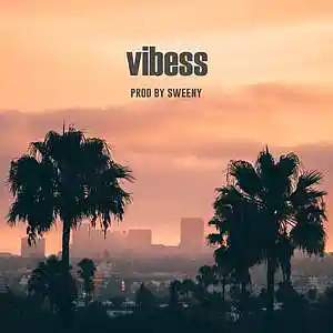 Picture for song 'vibess (collab w/ AXCE)' by artist 'Sweeny Beats'