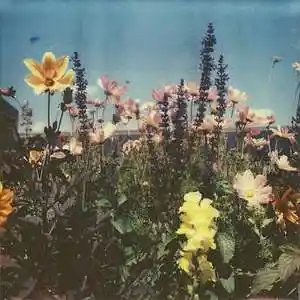 Picture for song '(FREE) Lo-fi Type Beat - No love' by artist 'TIANN dn'