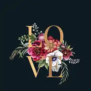 Picture for song 'Love' by artist 'Trobeats'