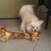 Picture for song 'Do You Know What I Mean?' by artist 'Afflatus Muse'