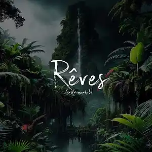 Picture for song 'Rêves (instrumental' by artist 'Joni Rocha Beatz Official'