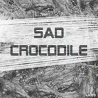 Picture for song 'LKBS - Sad Crocodile' by artist 'LKBS'