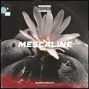 Picture for song 'Mescaline' by artist 'MaDrumBeats'