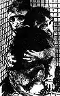 Picture for song 'Lucas' by artist 'Primitive'