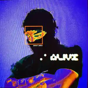 Song picture