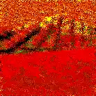 Picture for song 'The Fragility of Hope' by artist 'The Serendipitous Cacophonies'