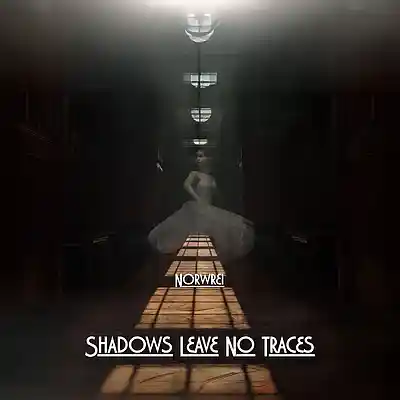 Picture for song 'Shadows Leave No Traces' by artist 'Norwrei'