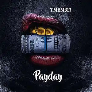 Picture for song 'Payday' by artist 'TMBM313'