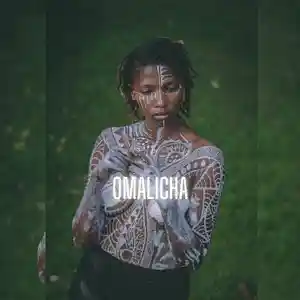 Picture for song '"Omalicha" (Amapiano Afrobeat)' by artist 'Kellobeats'