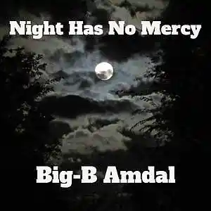 Picture for song 'Night Has No Mercy Big-B Amdal' by artist 'Lonnie Ratliff'