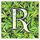 Picture for song 'Get High' by artist 'NyN Records'