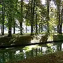 Picture for song 'Summer Mirage' by artist 'Pawel Jurdziak'