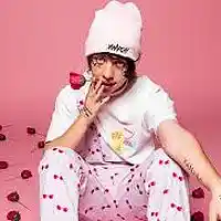 Picture for song 'Dopeness *LIL XAN STYLE*' by artist 'ProdByHammy'