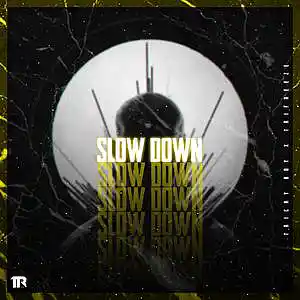Picture for song '"SLOW DOWN"' by artist 'Tricky Boy'
