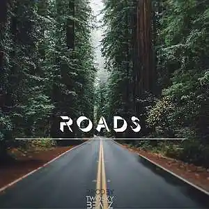 Picture for song 'Roads' by artist '2Sky'