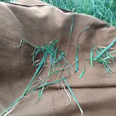 Picture for song '20240907_171801_FS:_randmBeat' by artist '786 scheint-Al'lahs Bande'