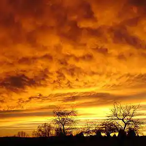 Picture for song 'American Trilogy' by artist 'Cocoband'