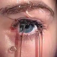 Picture for song '*NEW* Alone (FREE D/L)' by artist 'Dope Orchestra'