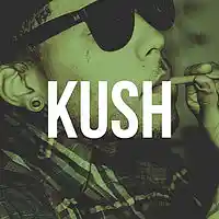 Picture for song 'Kush ..::WEST COAST::.. ' by artist 'HEATONDABEAT'