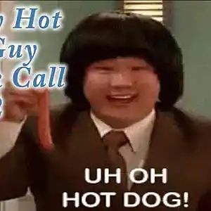 Picture for song 'Angry Hotdog Guy Part 2' by artist 'JoshPranks'