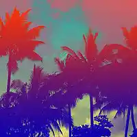 Picture for song ''Endless Summer' - Tropical Pop Beat' by artist 'LiL Medic Beats'
