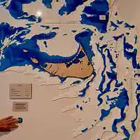 Picture for song 'A Nantucket World: Mad Dog' by artist 'paul gorman and the hypnotist collectors'