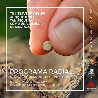 Picture for song 'Programa 5 de octubre whatsapp' by artist 'Producciones Vandor'