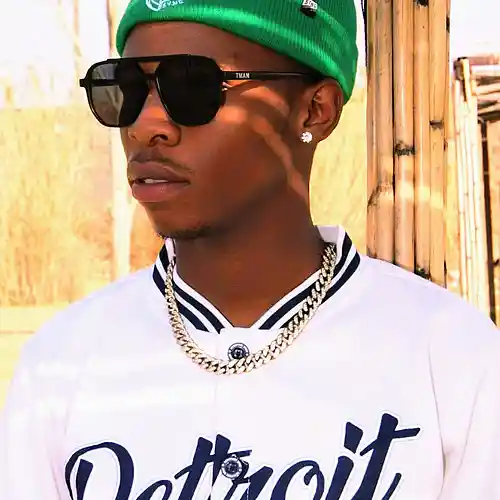 Picture for song 'WarDucker-Ngintswempu Ft Trill Kay' by artist 'WarDucker'