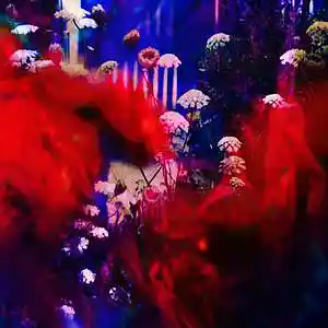 Picture for song 'Juice Wrld x Young Thug Type Beat - Red & Blue' by artist 'WHAT?BOYBEATS'