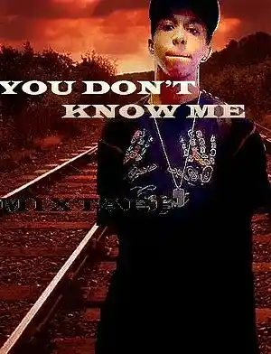 Picture for song 'TRILL n***' by artist 'youngmilli beatzz'