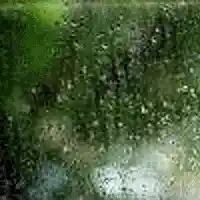 Picture for song 'Thats Not Rain On Your Window' by artist 'Bodetoad'