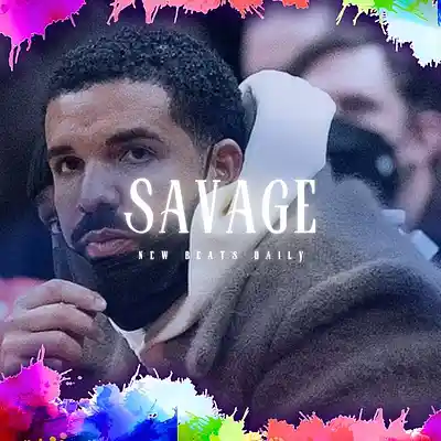 Picture for song 'Savage' by artist 'Brandnew Beats'