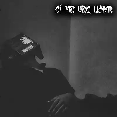 Picture for song 'BEAT RAP BOOM BAP "SI ME VES LLORAR" HIP HOP' by artist 'Mounstro Beats'