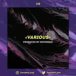 Picture for song 'Various' by artist 'Homiebeat'